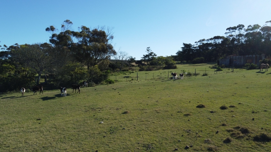 Commercial Property for Sale in Mossel Bay Rural Western Cape